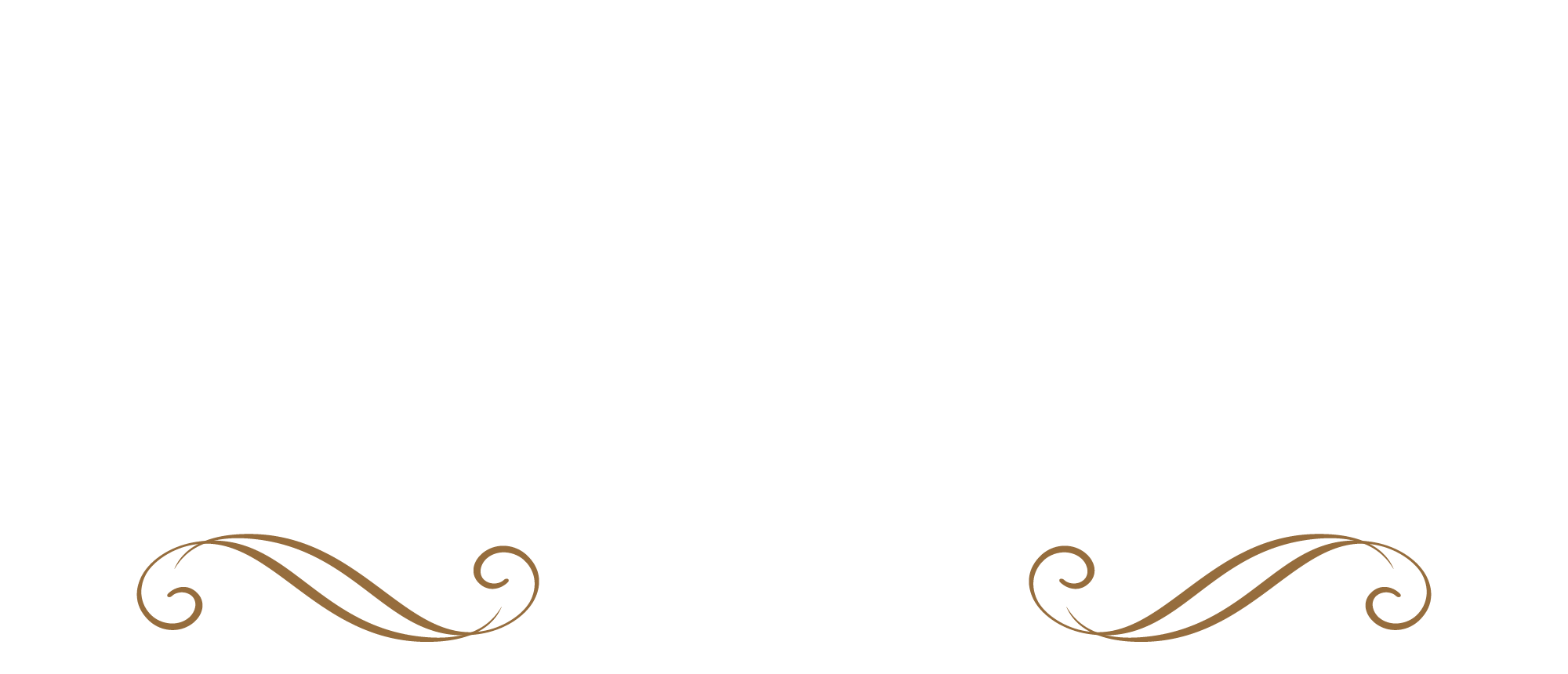 Logotipo 001WV1 Logotipo 001WV1